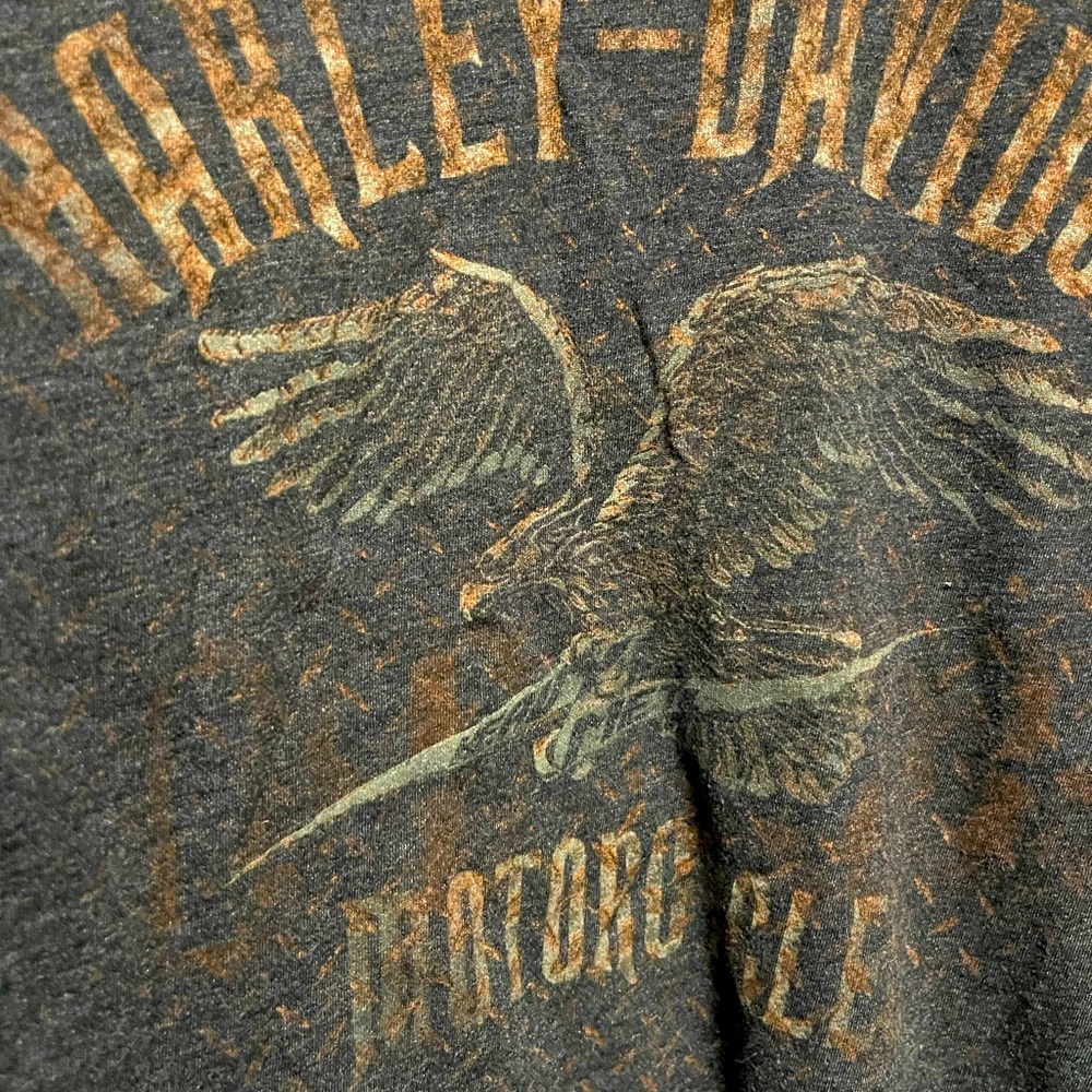 Vintage Harley Davidson shirt.